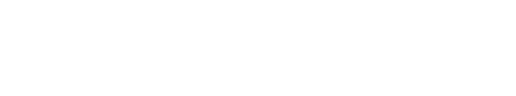 The Network Firm
